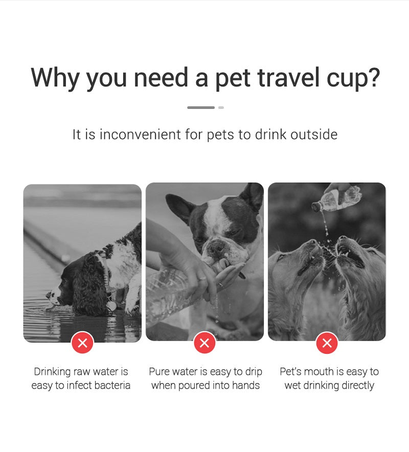 Portable Dog Water Bottle with Drinking Bowl – Leakproof for Walks & Hikes