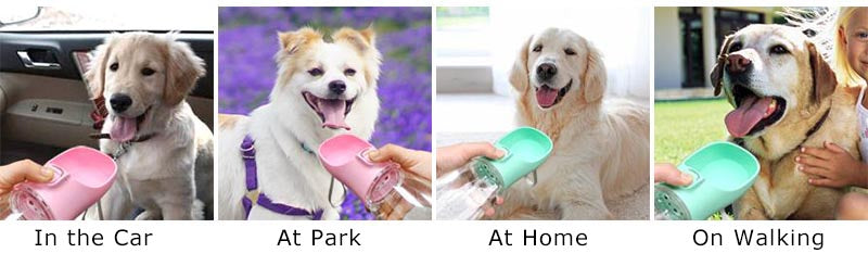 Portable Dog Water Bottle with Drinking Bowl – Leakproof for Walks & Hikes