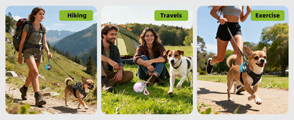 2-in-1 Stainless Steel Dog Travel Water Bottle